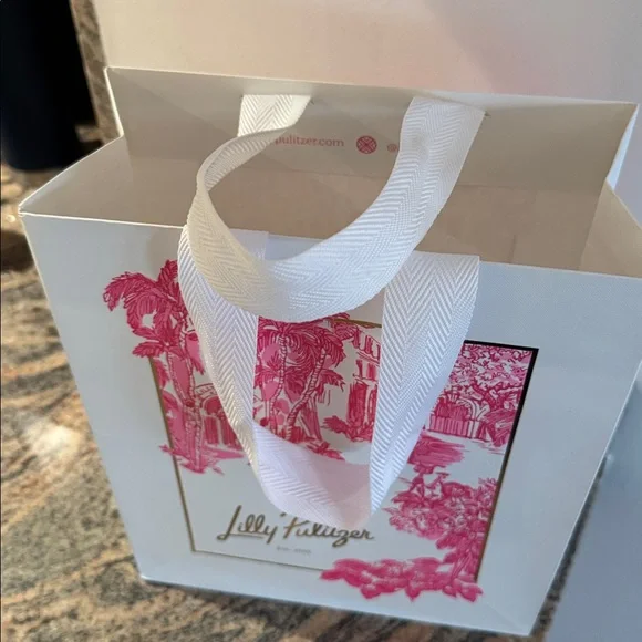 Lilly Pulitzer gift shopping bag. No defects. Used 1x to bring home purchase. - Picture 3 of 8